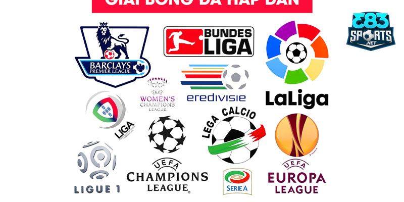 Vì sao các giải đấu lớn luôn làm say đắm hàng triệu trái tim yêu bóng đá?